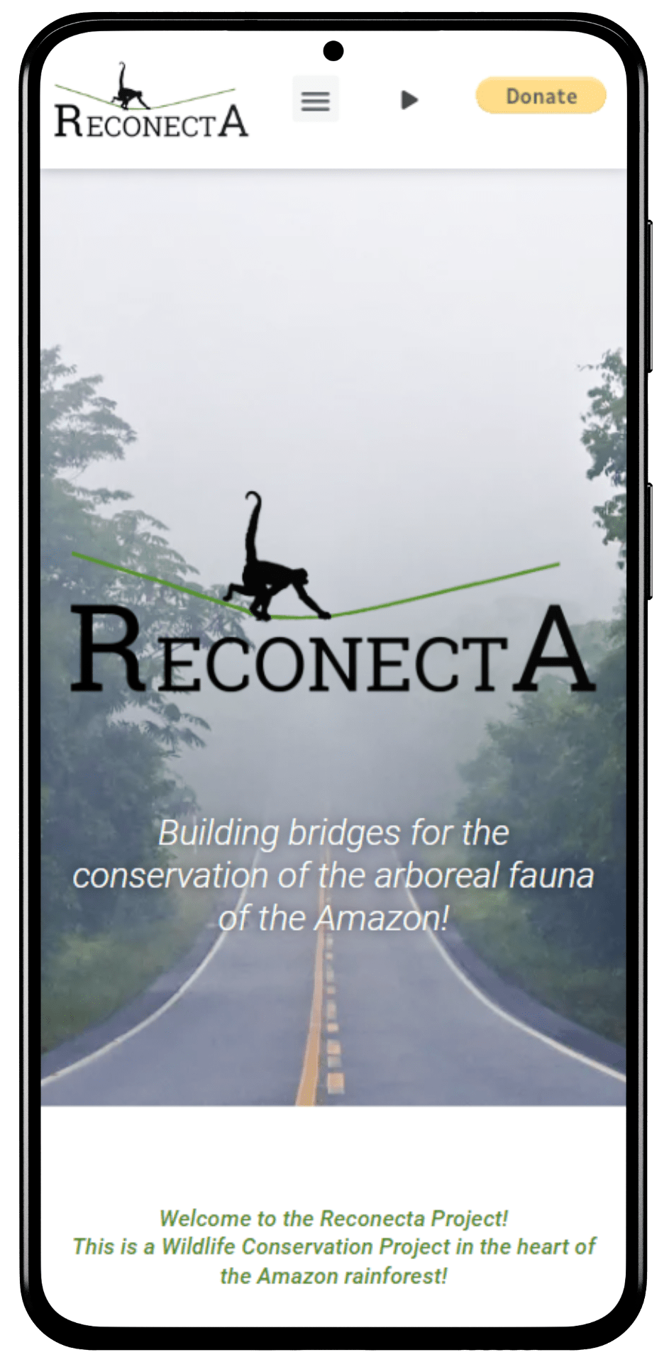 reconecta-min